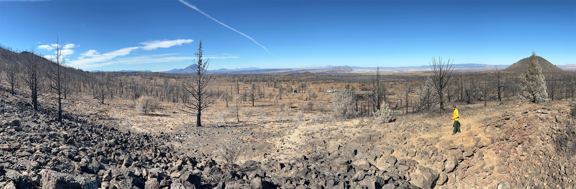 Lava Beds National Monument - Photo by David Hays A person walks among burned trees near a lava flow