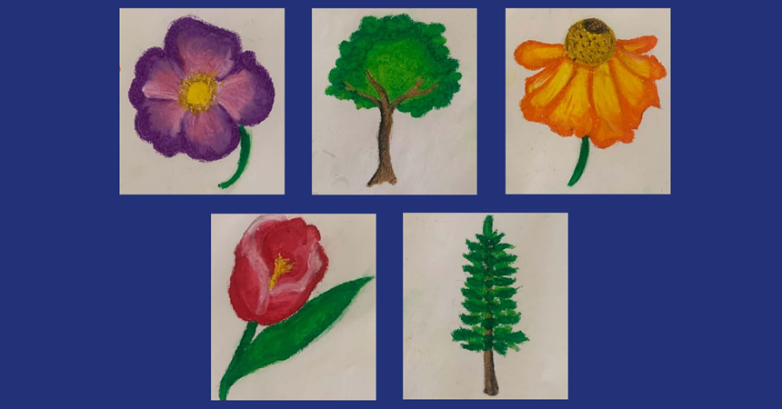 Five small sketches of flowers and trees done in pastels.
