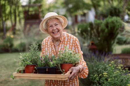 The Benefits of Summer Gardening for Seniors